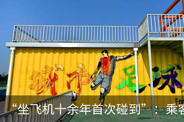 “坐飞机十余年首次碰到”：乘客机上吸食电子烟触发烟雾报警器，涉事旅客落地后移交公安调查