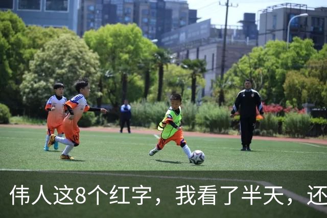 伟人这8个红字，我看了半天，还有3个不敢断定。若您能全认出，盼指点一二。看草书常说要先读释文，怎样借“答案”反过来学笔法？