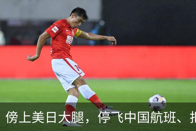 傍上美日大腿，停飞中国航班、拒绝中国游客的小国，如今怎样了？