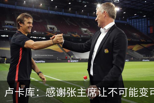 卢卡库：感谢张主席让不可能变可能 会全力帮国米