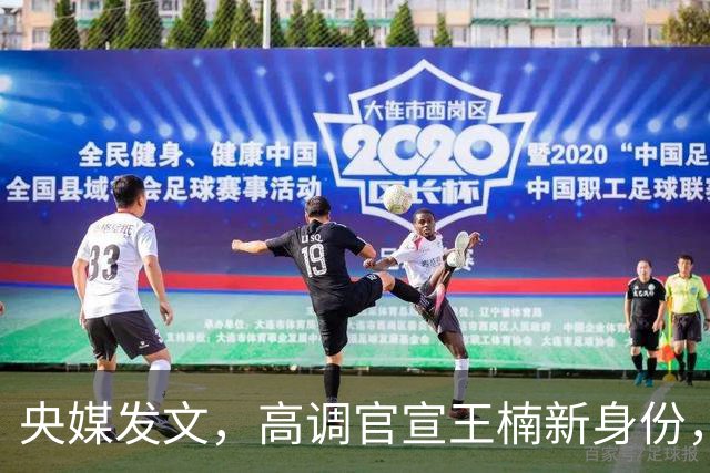 央媒发文，高调官宣王楠新身份，资产查封被带走调查传闻早有真相