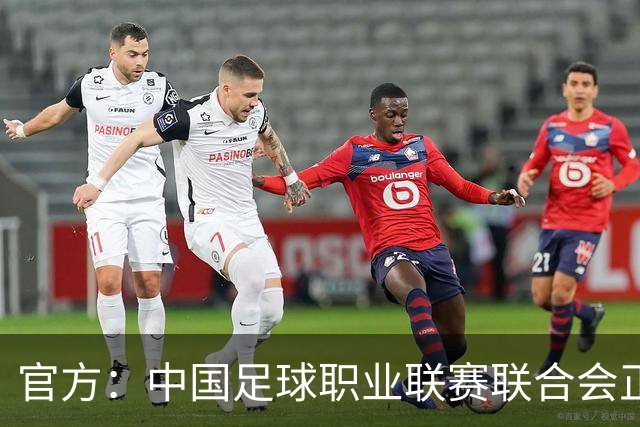 官方：中国足球职业联赛联合会正式成立