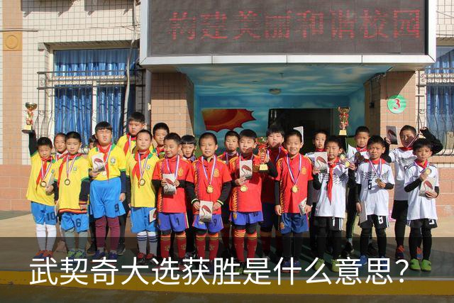武契奇大选获胜是什么意思？