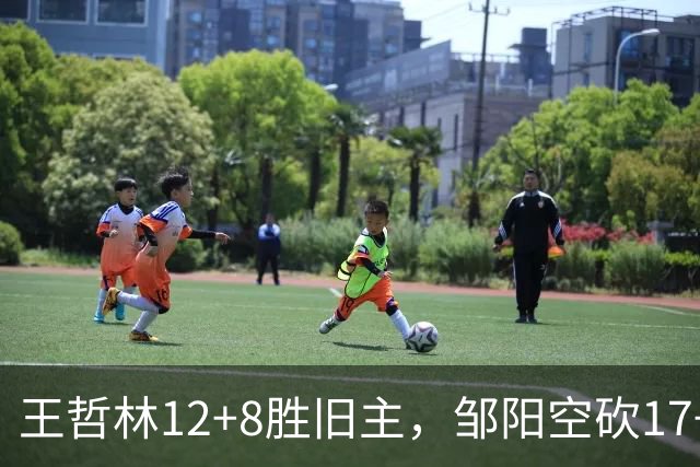 王哲林12+8胜旧主，邹阳空砍17+7，黎伊扬继续高效表现