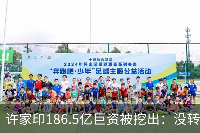 许家印186.5亿巨资被挖出：没转给丁玉梅，而是给了这位“老友”