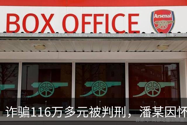 诈骗116万多元被判刑，潘某因怀孕被取保候审，线上开庭时称自己产后大出血，全程认罪悔罪，实际早已引产，最终被判十一年四个月